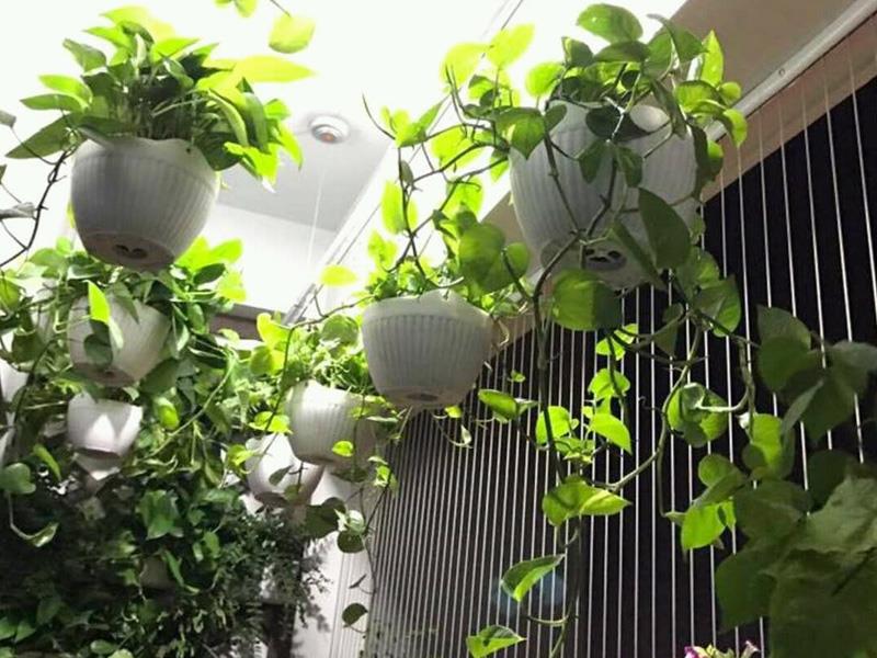 Vì sao cần lắp đặt lưới an toàn ban công?