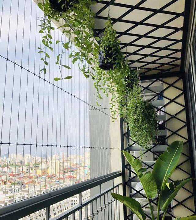 3 loại lưới an toàn cho bé phòng chống tai nạn rơi ngã nhất định cha mẹ phải biết